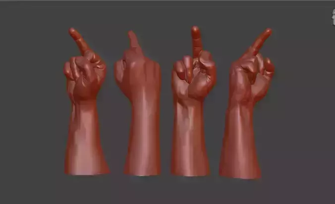 hand middle finger 3D print model
