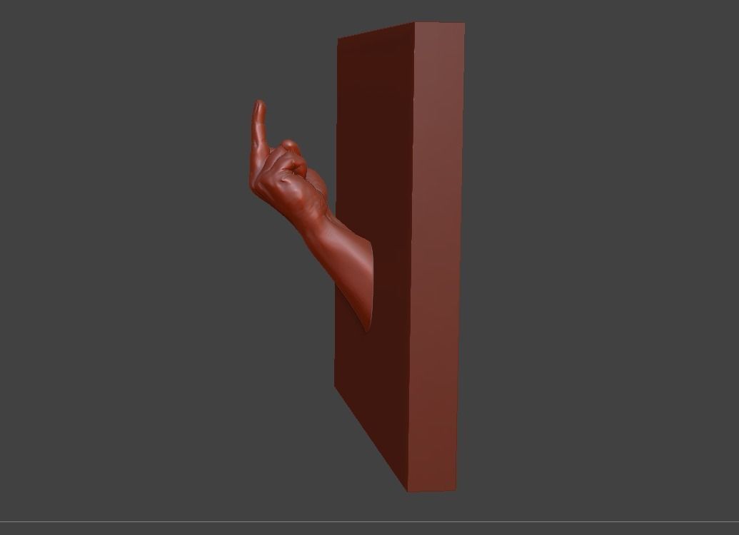 hand middle finger 3D print model_17