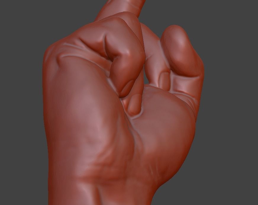 hand middle finger 3D print model_11
