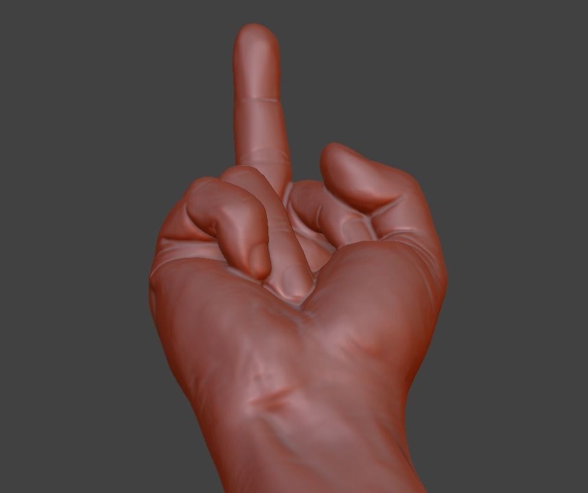 hand middle finger 3D print model_13