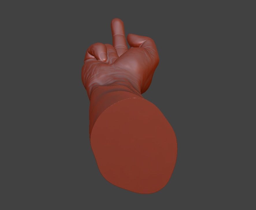 hand middle finger 3D print model_14