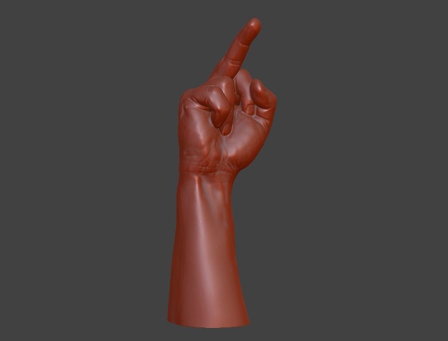 hand middle finger 3D print model_22