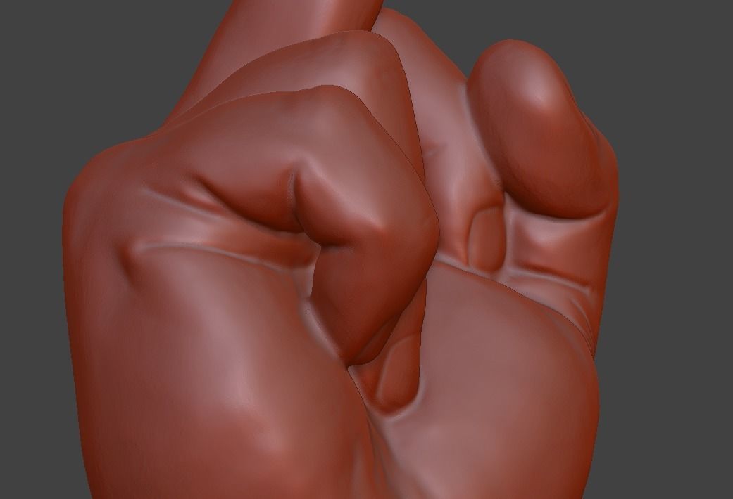 hand middle finger 3D print model_12