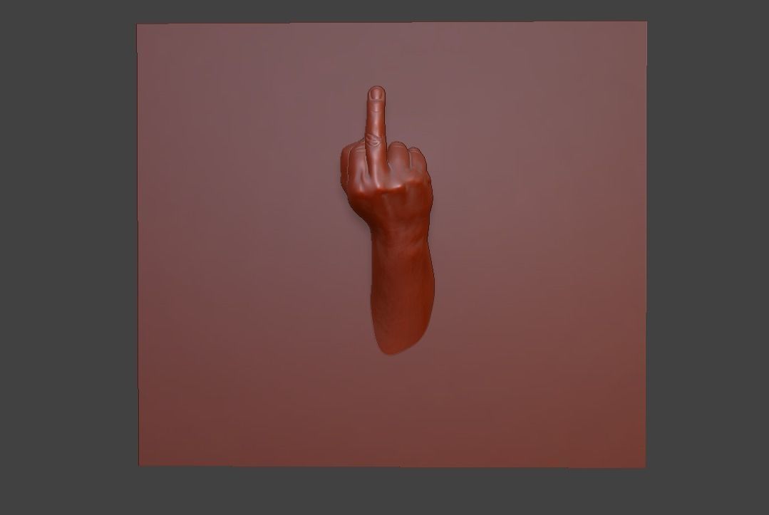hand middle finger 3D print model_16