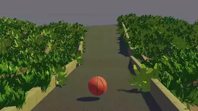 3D Basketball Animation- RIGGED Low-poly 3D model
