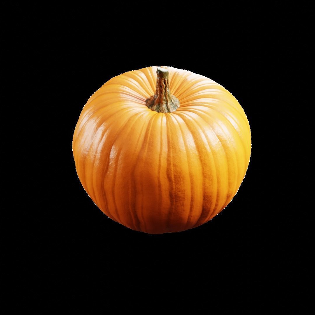 pumpkin 3d model Free 3D model_1
