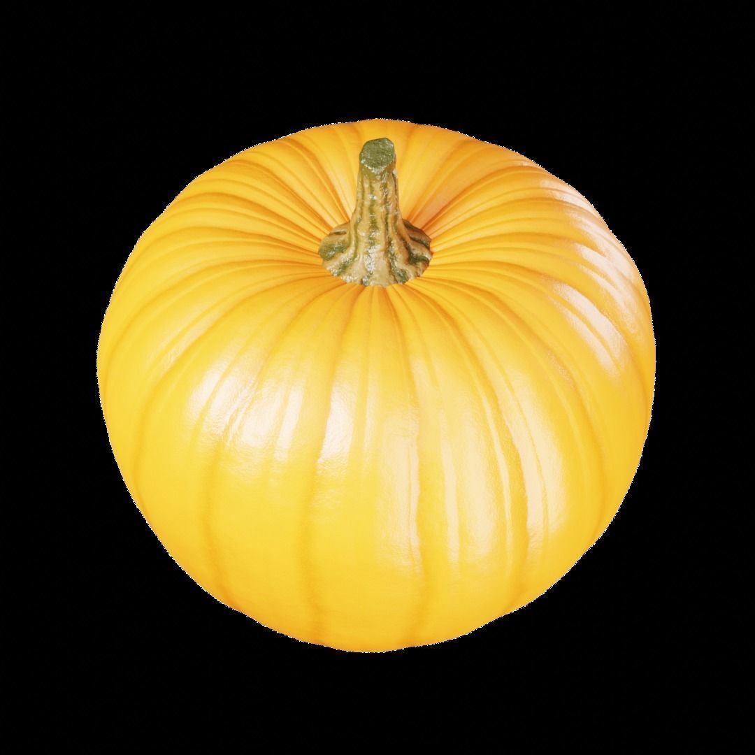 pumpkin 3d model Free 3D model_3