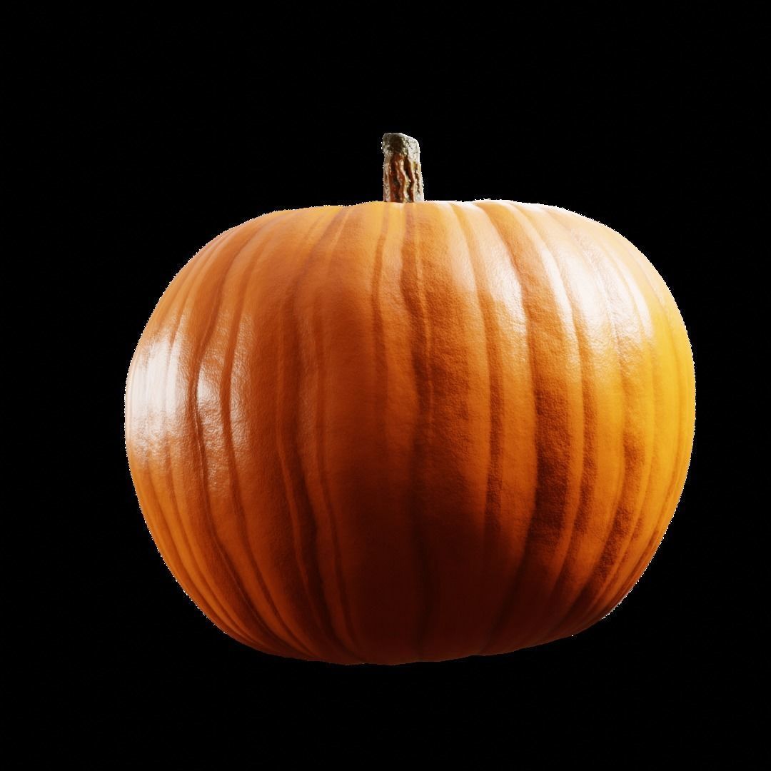 pumpkin 3d model Free 3D model_2