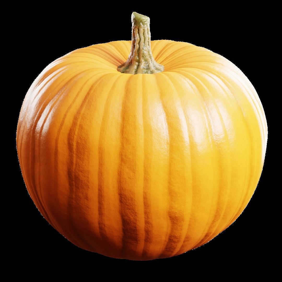 pumpkin 3d model Free 3D model_4