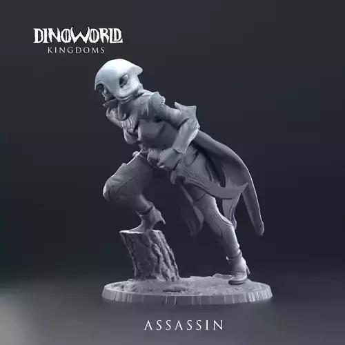 elf assasin 