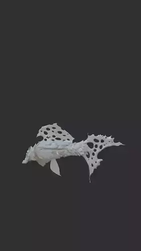 This is a strange fish Free low-poly 3D model