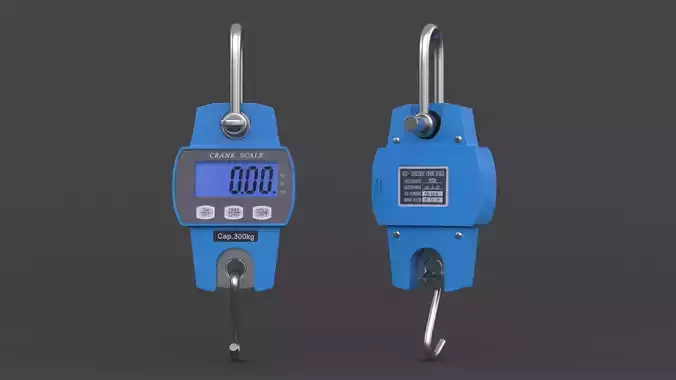 Hanging Weight Scale