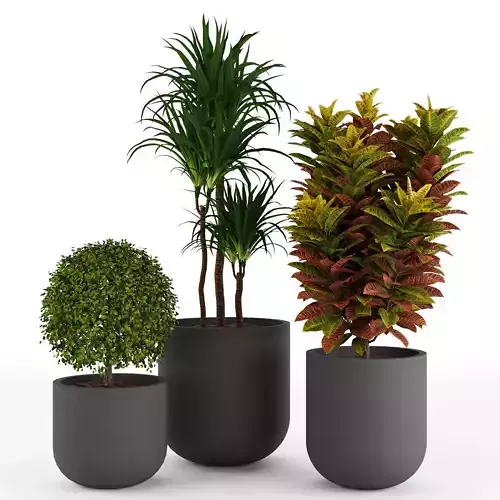 Set 3 Indoor Planters 02