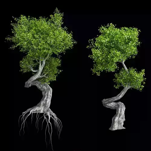 Stylized Tree 3D model