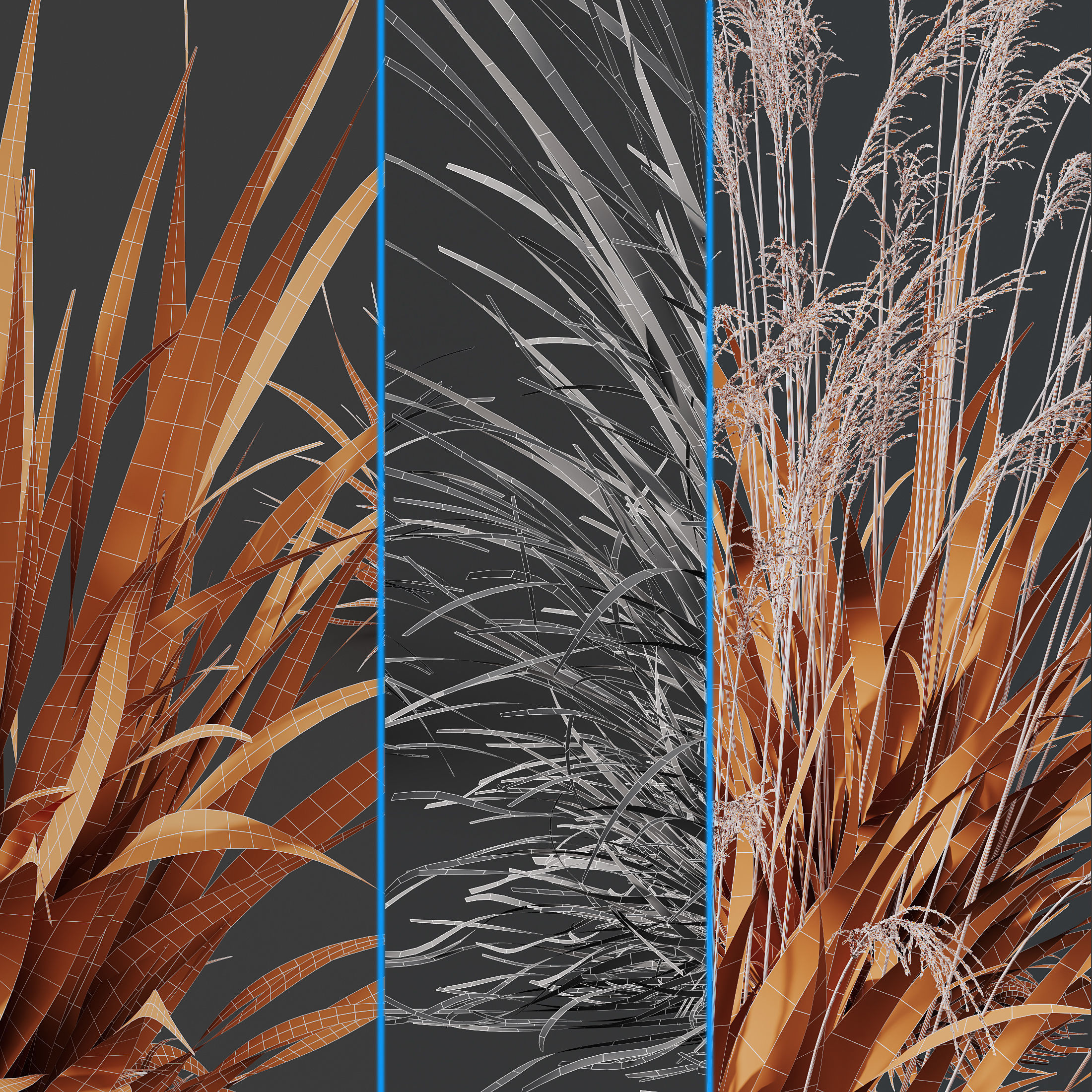 Molinia Caerulea Heidebraut Kleines Pfeifengras Version12 3D model_6