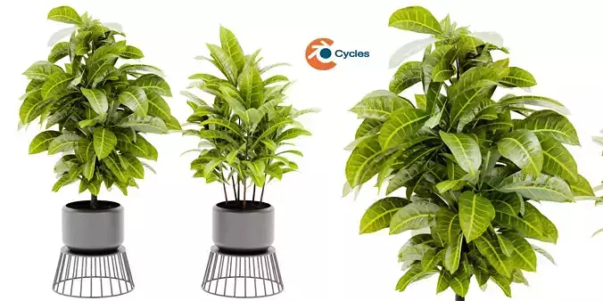 Collection plant vol 393 - blender model 