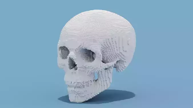 Voxel Skull