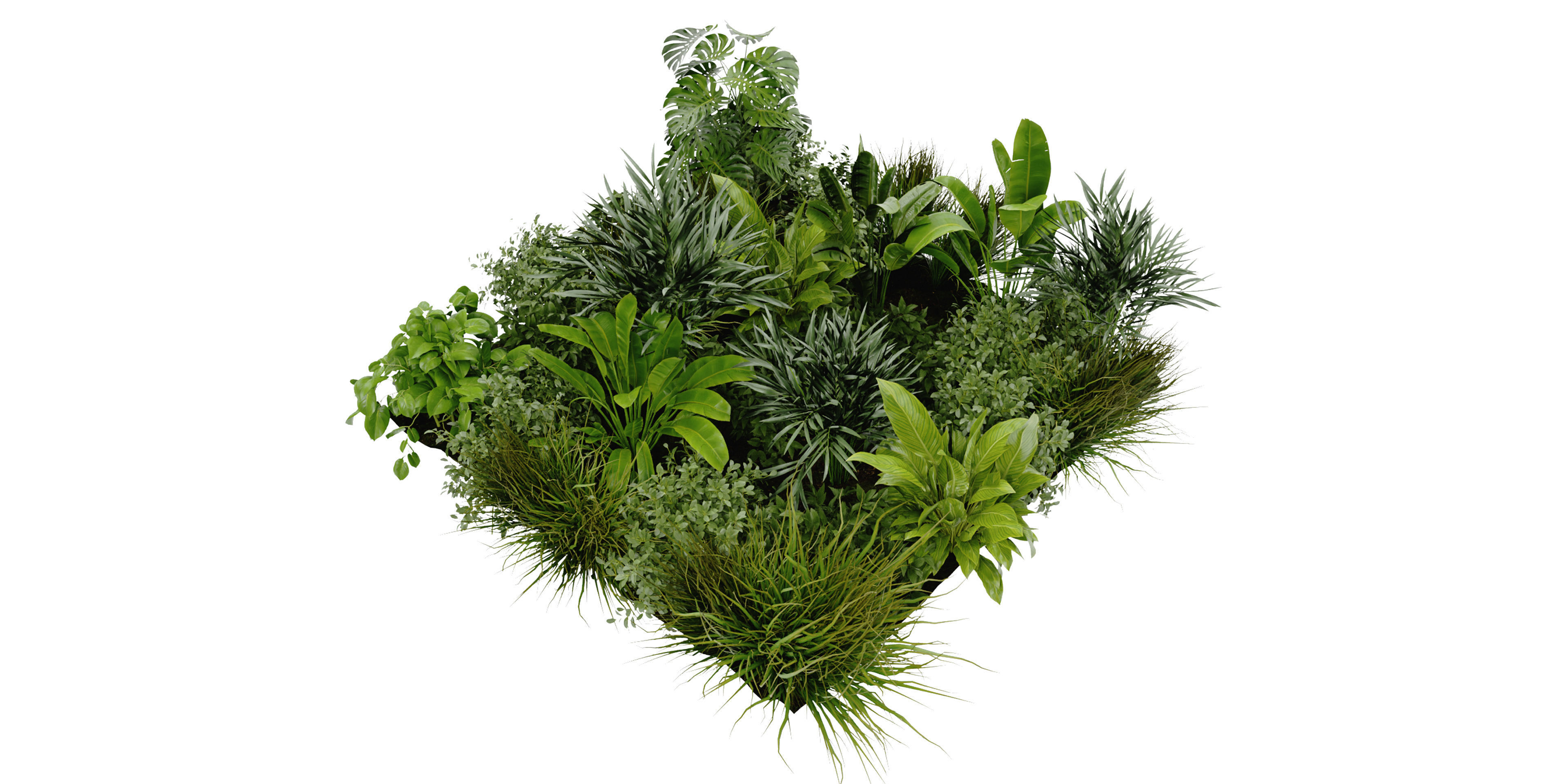 Collection plant vol 394 - blender model  3D model_1