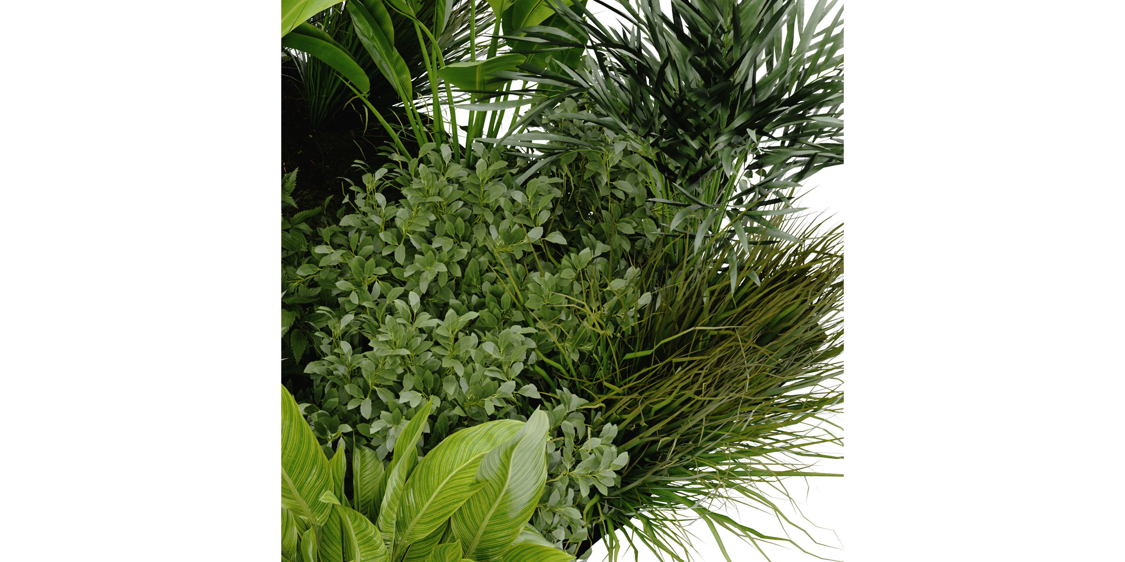 Collection plant vol 394 - blender model  3D model_3