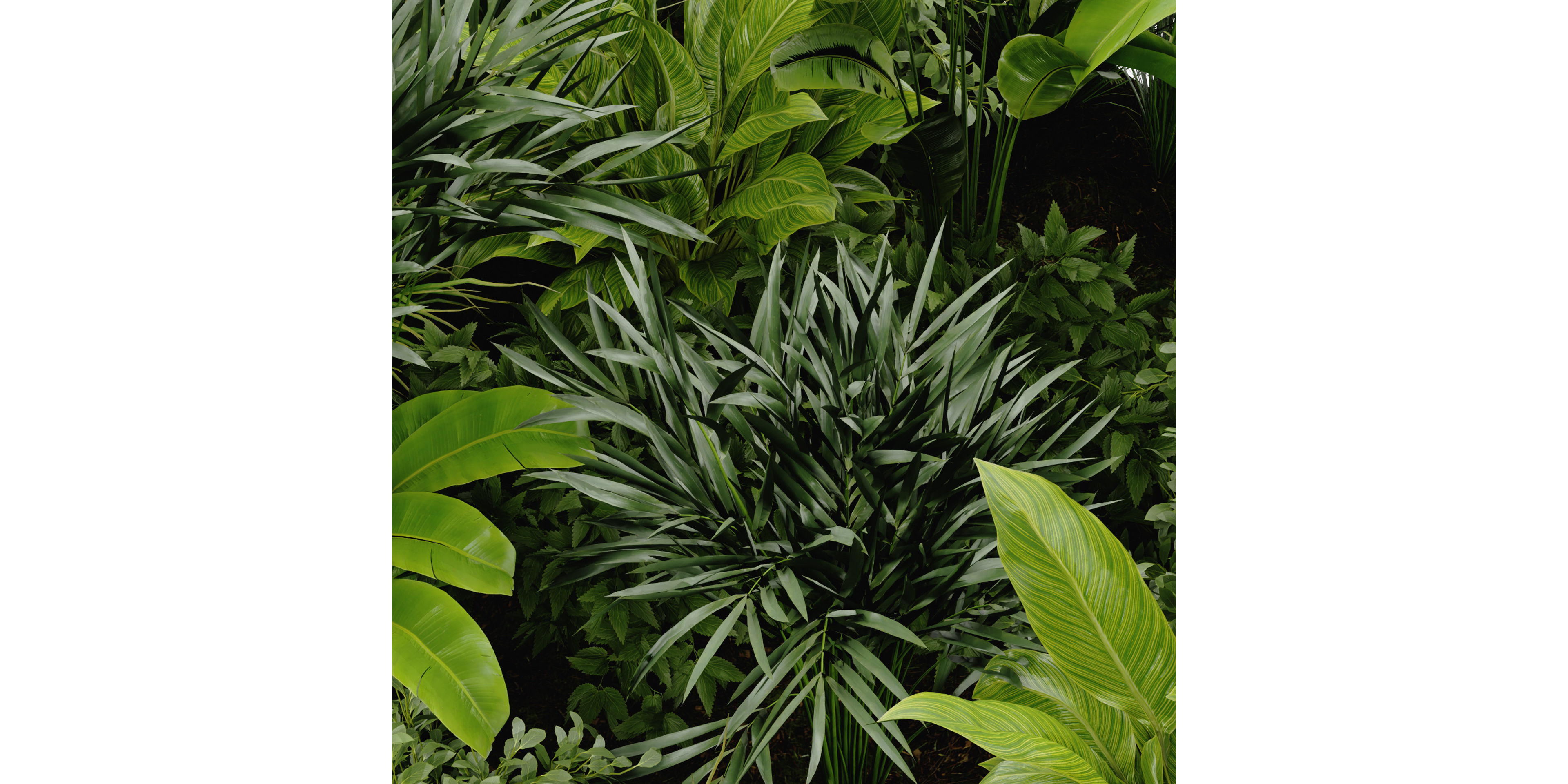 Collection plant vol 394 - blender model  3D model_2