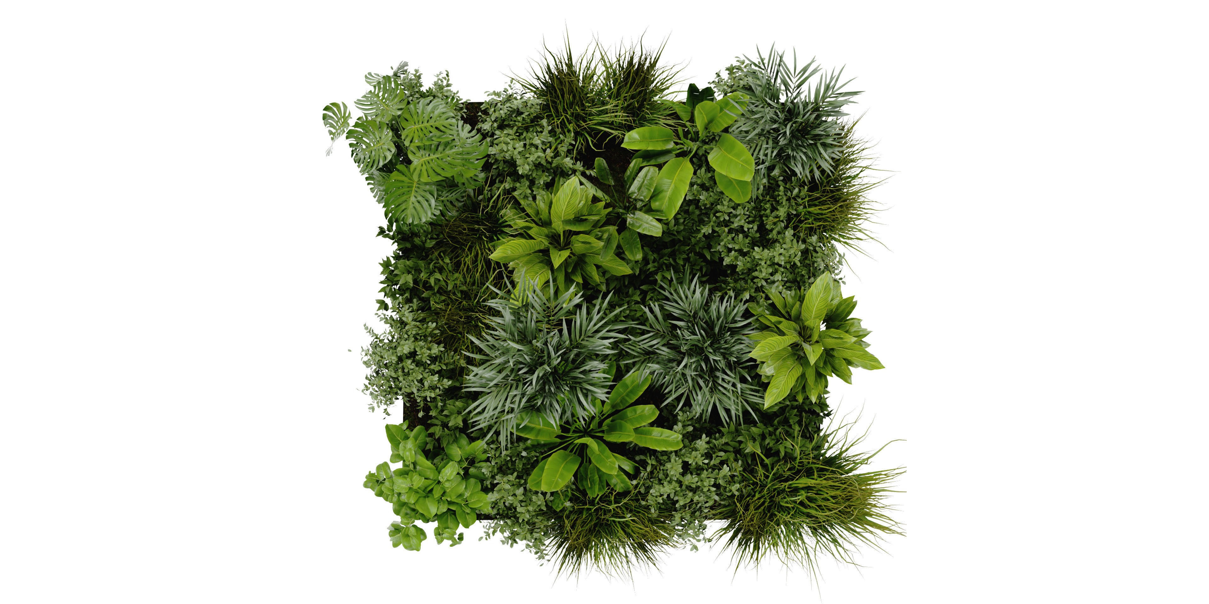 Collection plant vol 394 - blender model  3D model_5