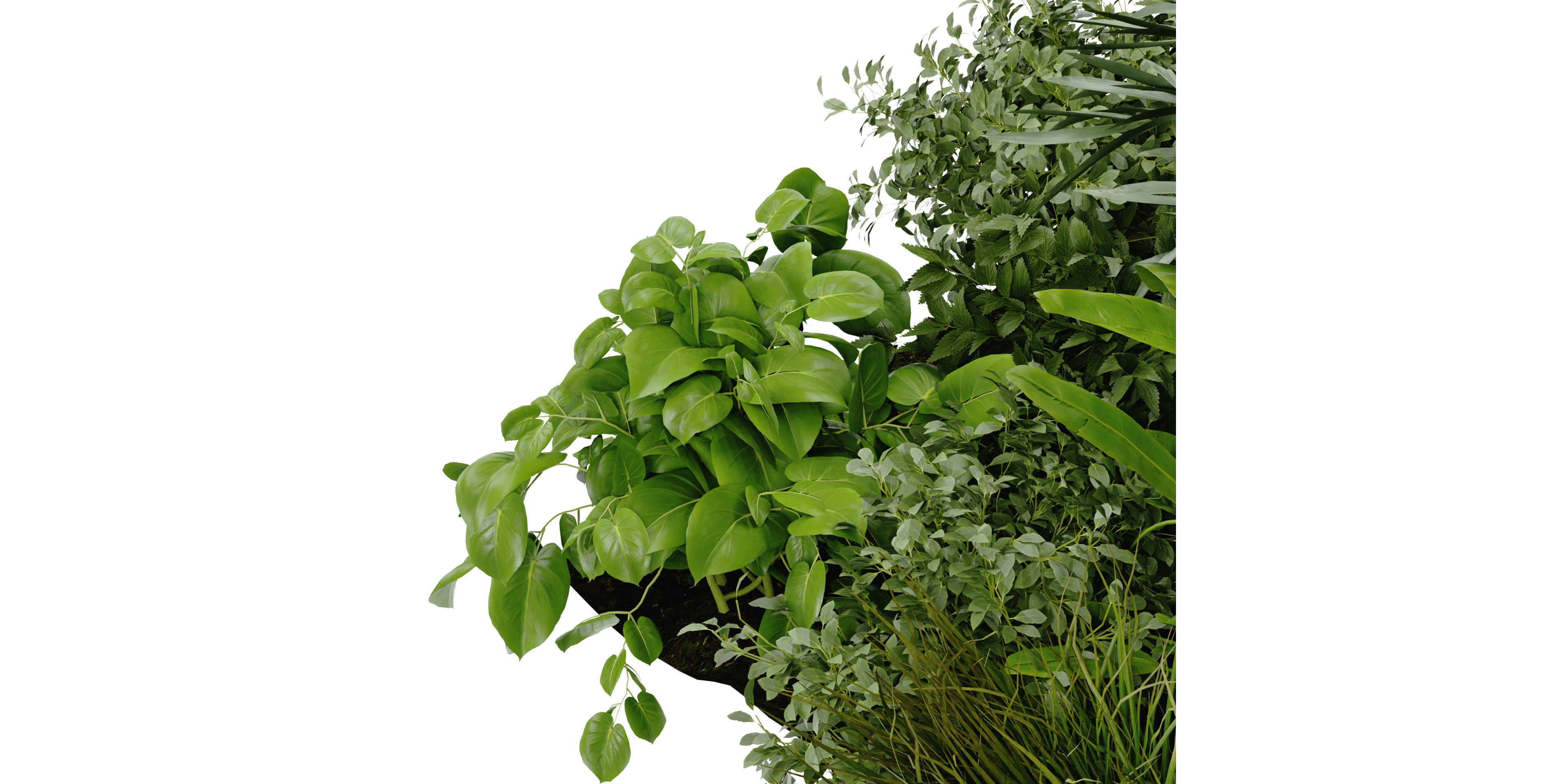 Collection plant vol 394 - blender model  3D model_4