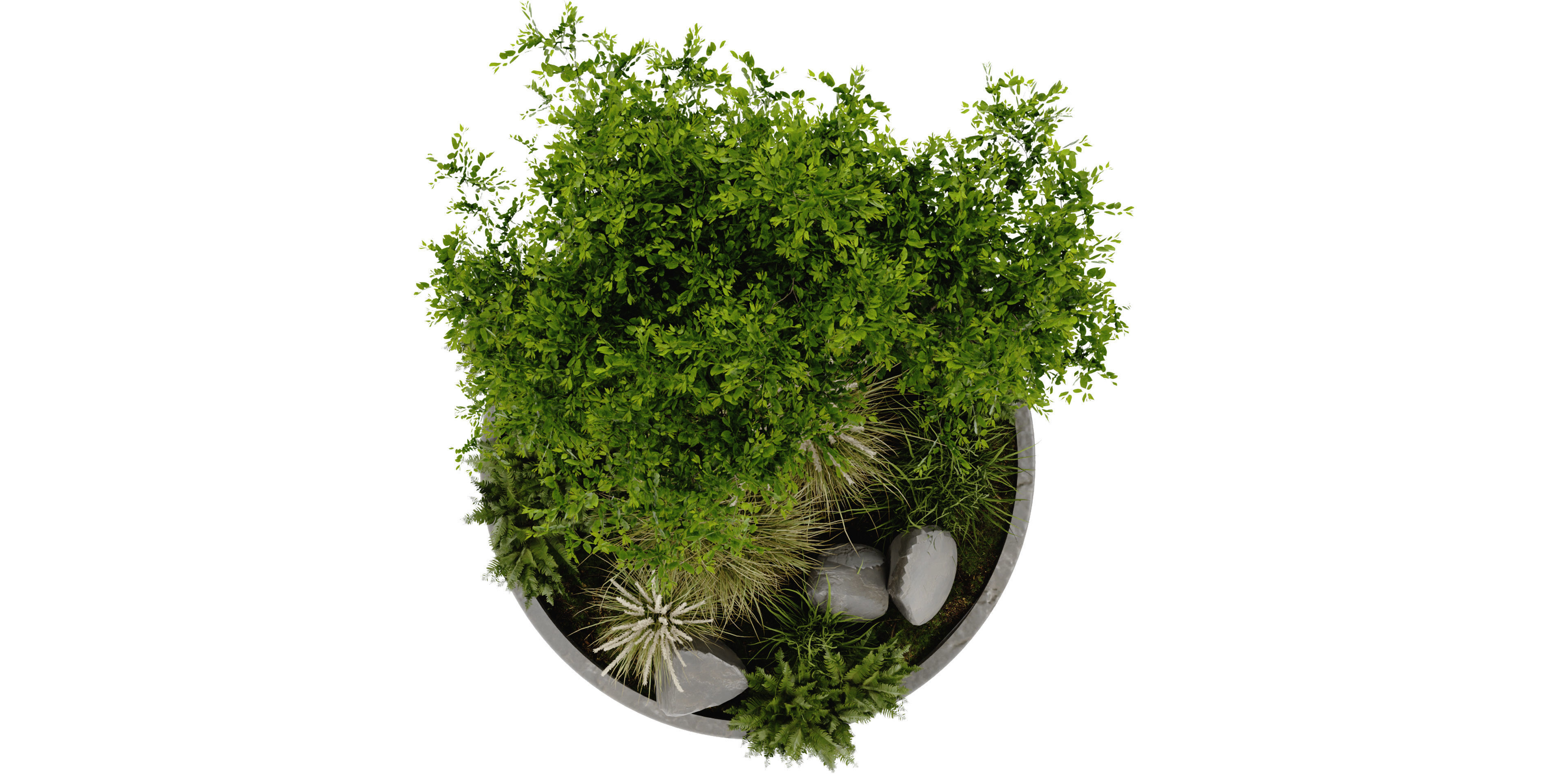 Collection plant vol 395 - blender model  3D model_1