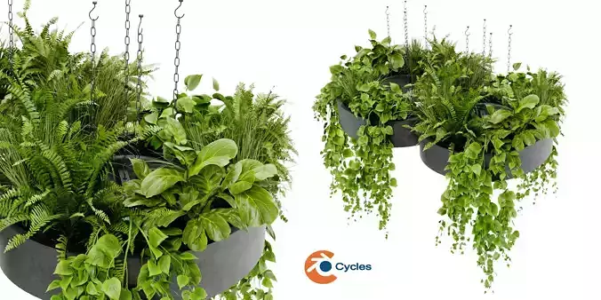  Collection plant vol 401 - blender model 