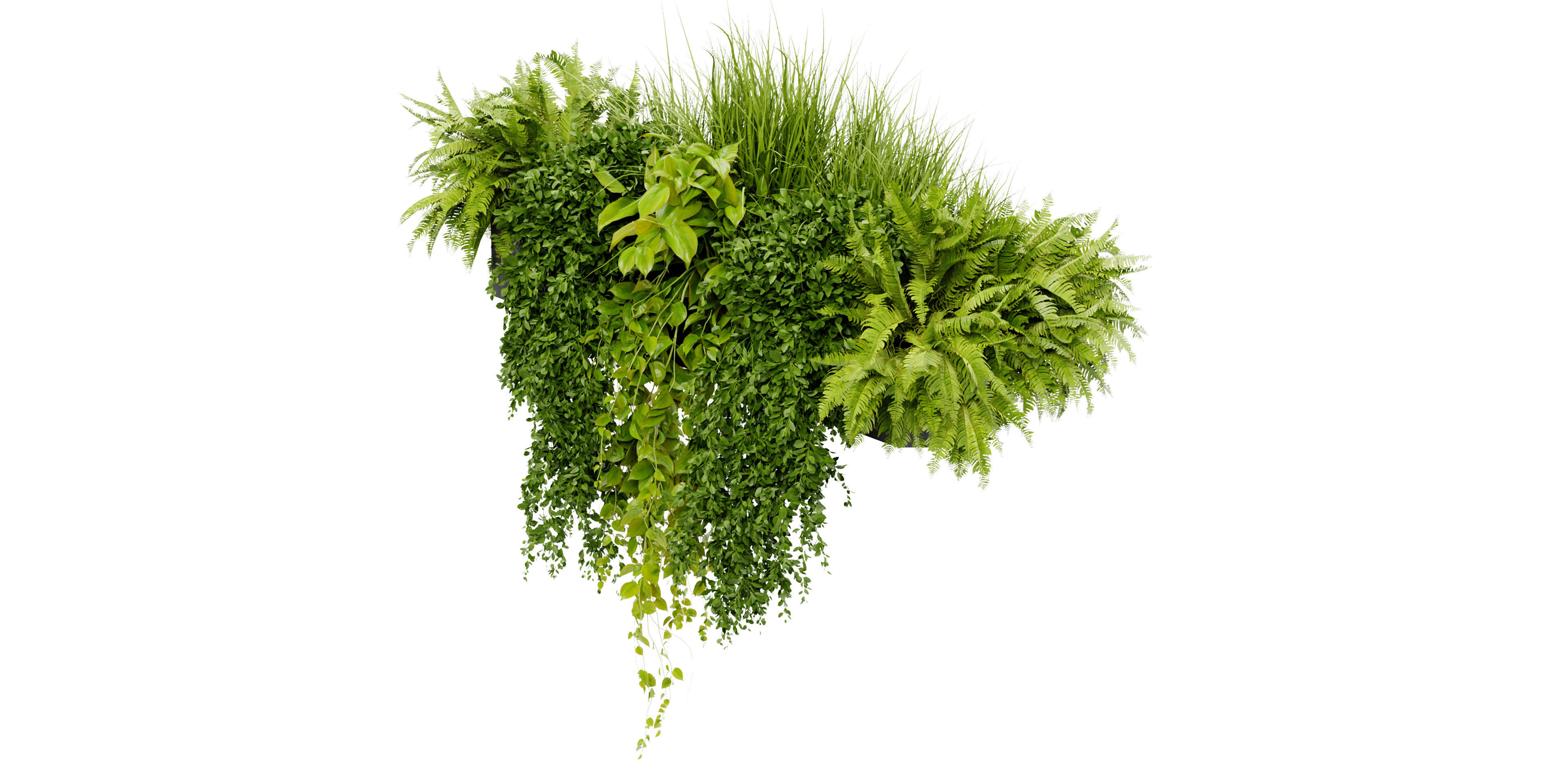 Collection plant vol 402 - blender model  3D model_2