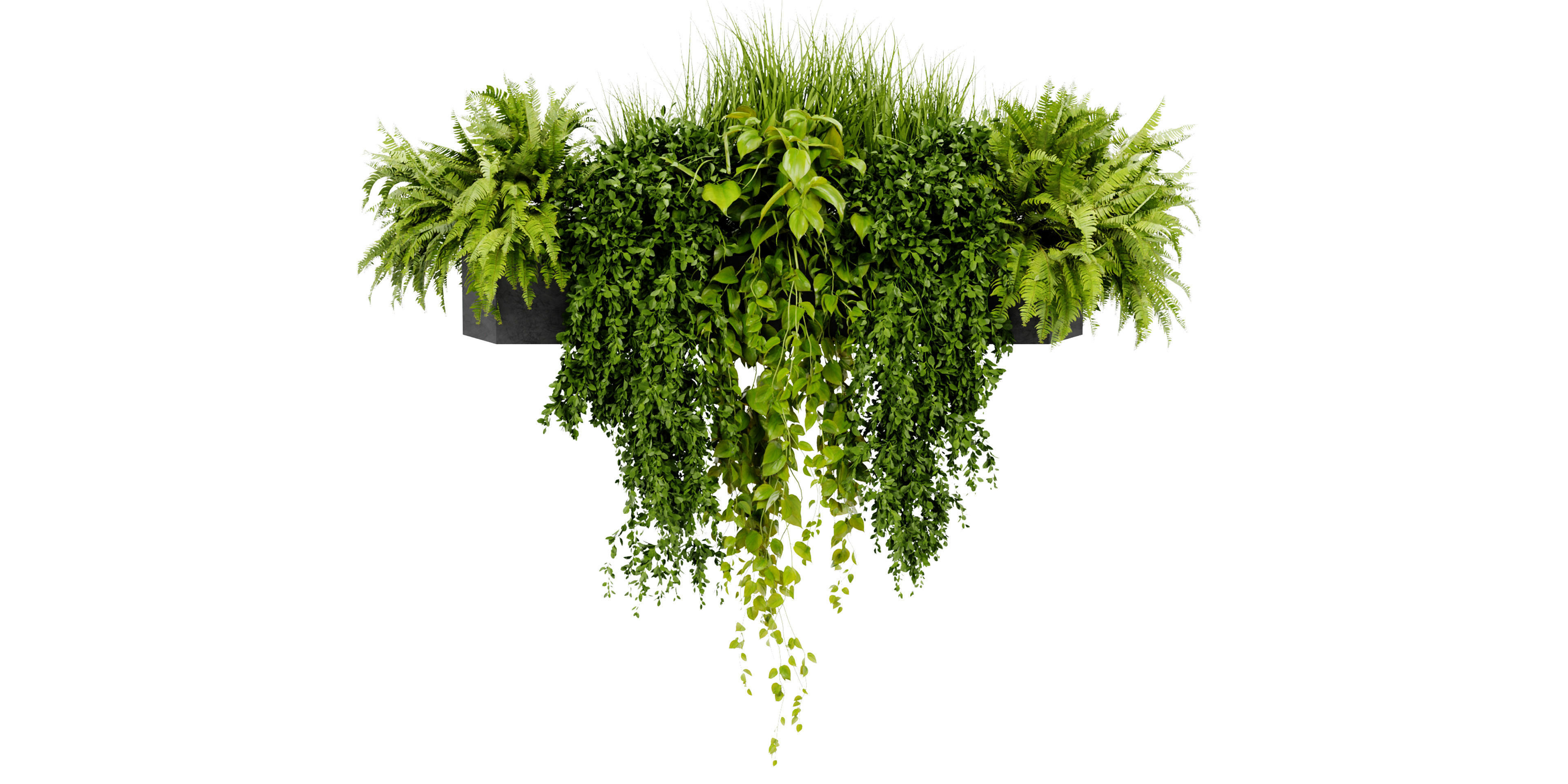 Collection plant vol 402 - blender model  3D model_1