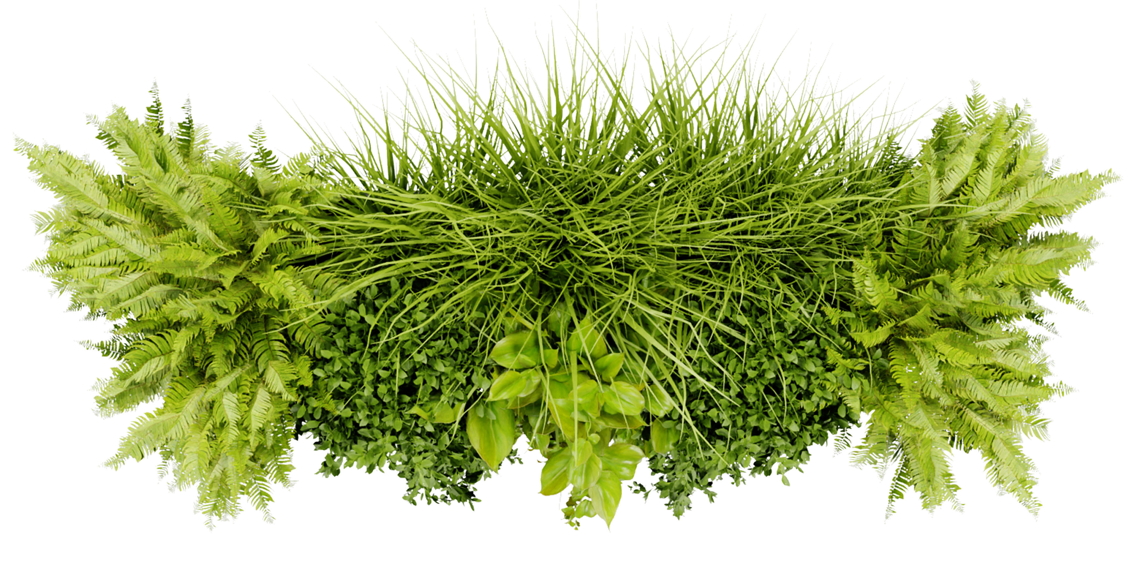 Collection plant vol 402 - blender model  3D model_5