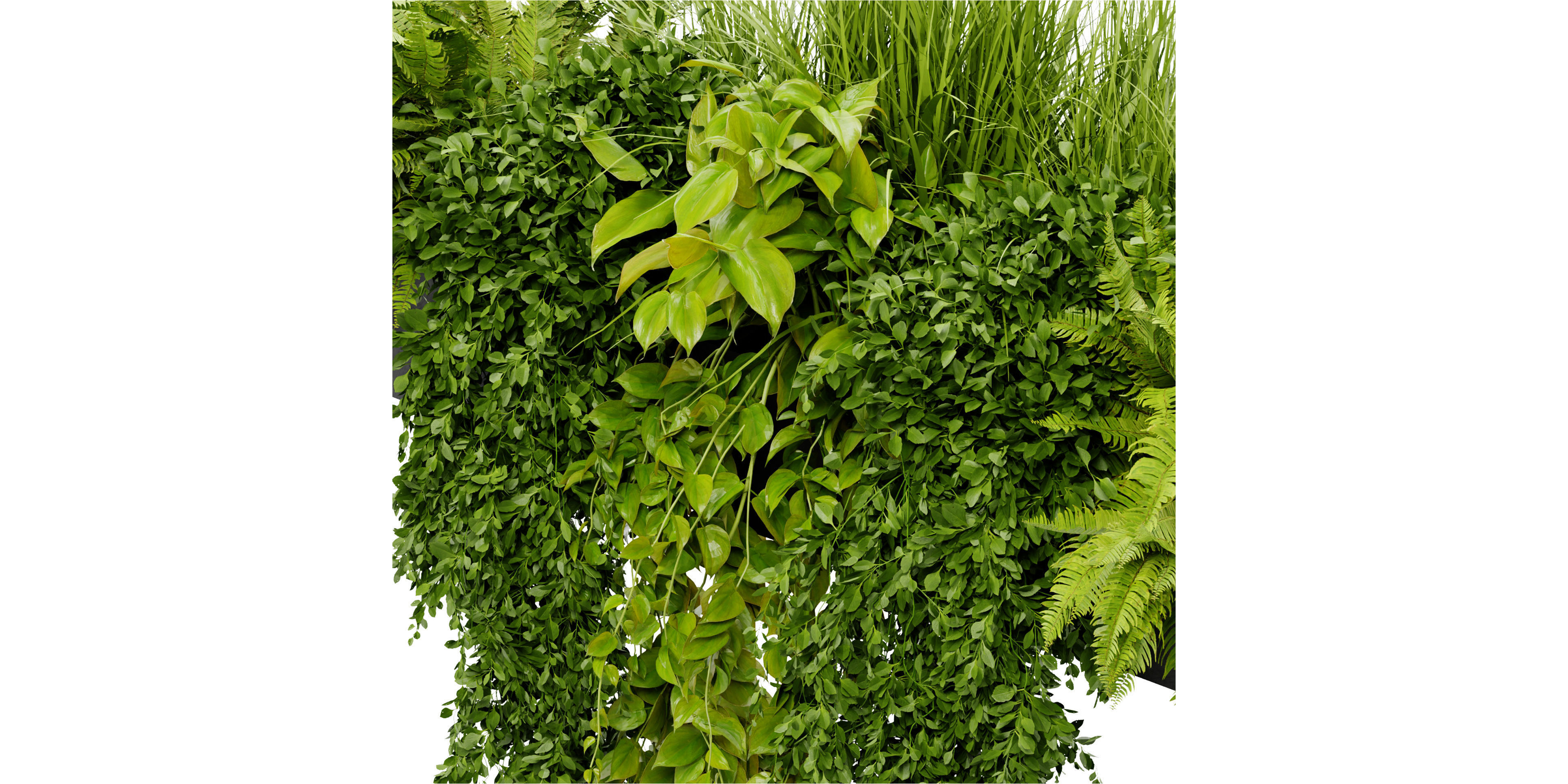 Collection plant vol 402 - blender model  3D model_3