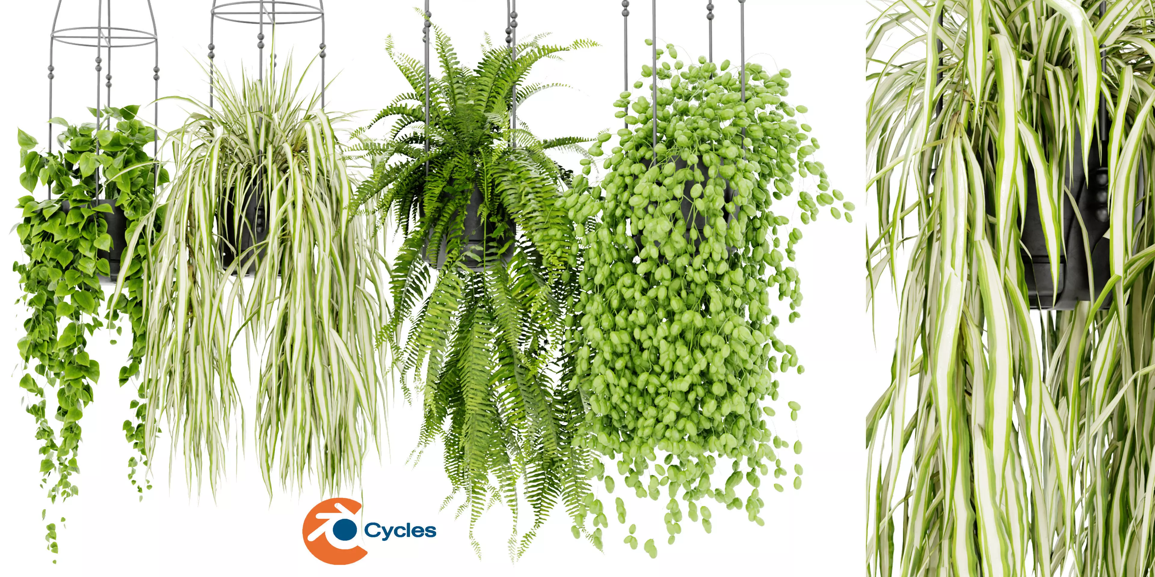 Collection plant vol 404 - blender model 3D model