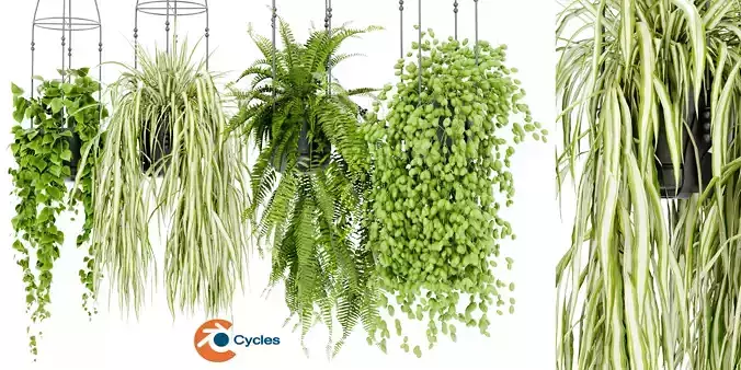 Collection plant vol 404 - blender model 