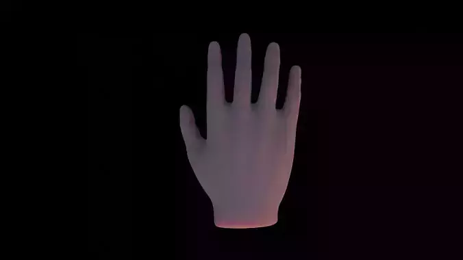 3D hand 