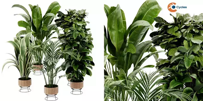 Collection plant vol 413 - blender model  3D model