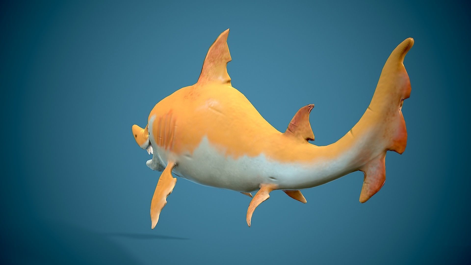 cartoon baby shark Low-poly 3D model_15