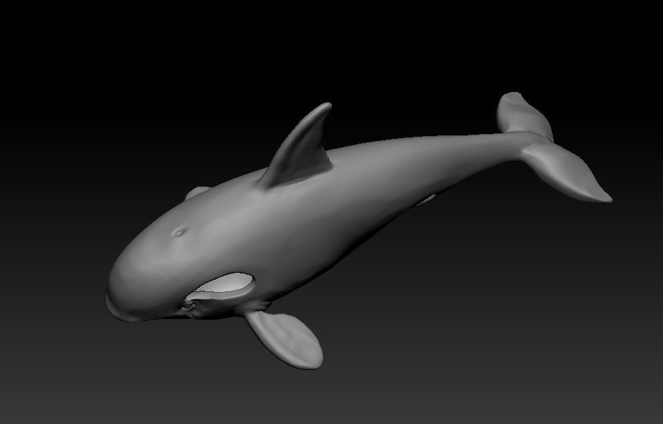 101202 P killer Whale Orca pendant model with enamel  3D print model_20