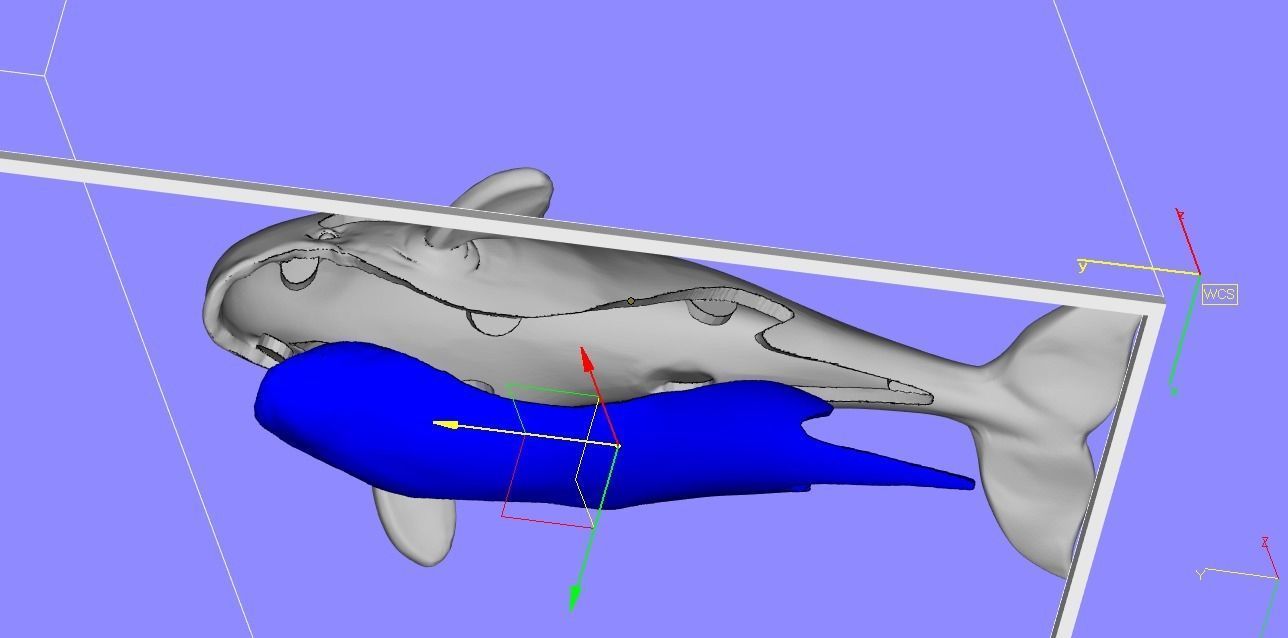 101202 P killer Whale Orca pendant model with enamel  3D print model_4