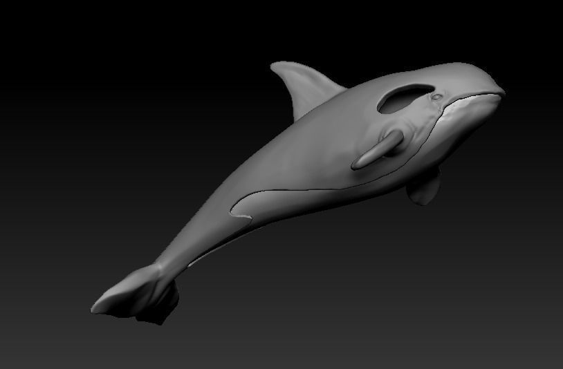 101202 P killer Whale Orca pendant model with enamel  3D print model_16