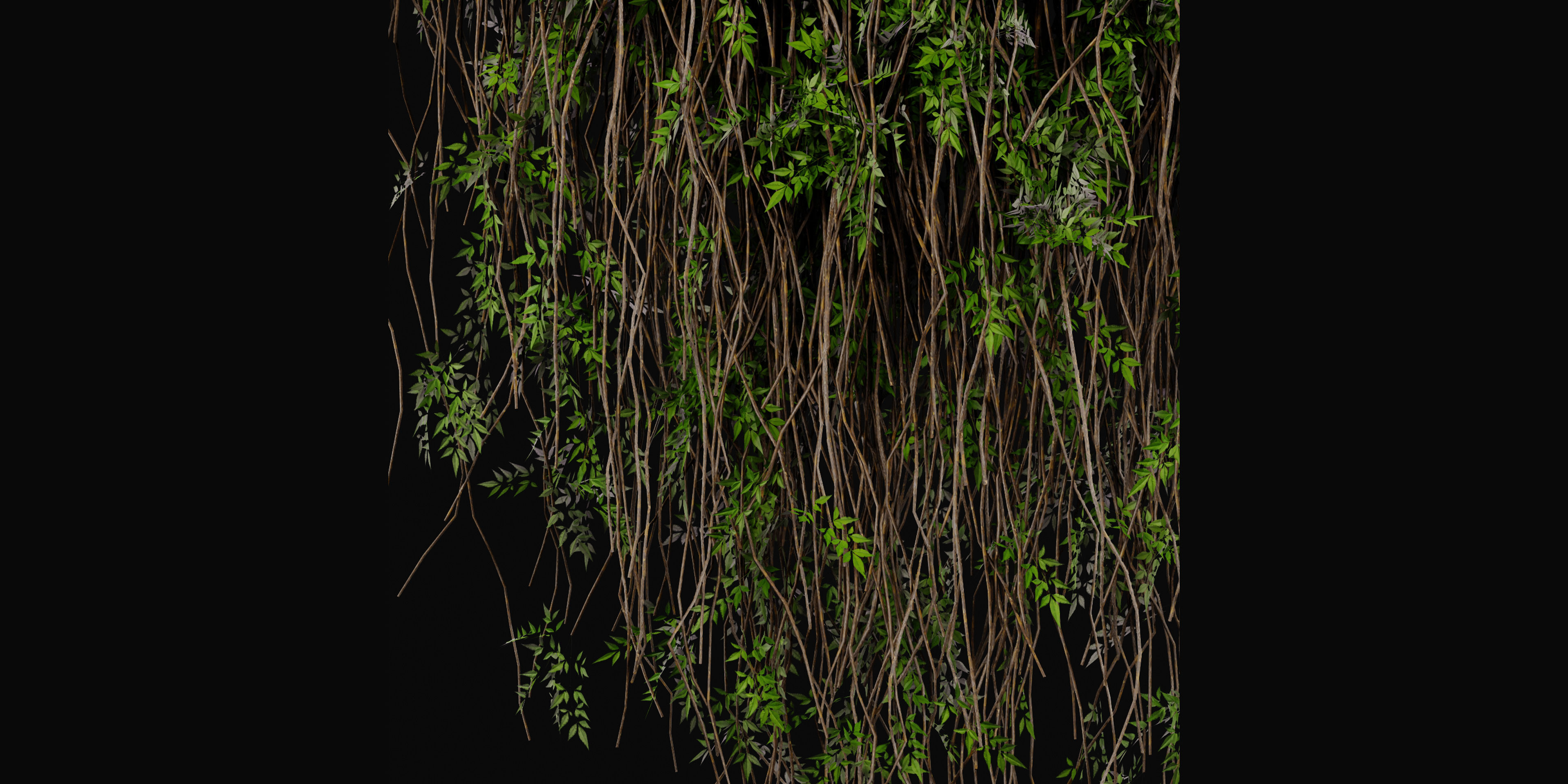 Collection plant vol 415 - blender model  3D model_2