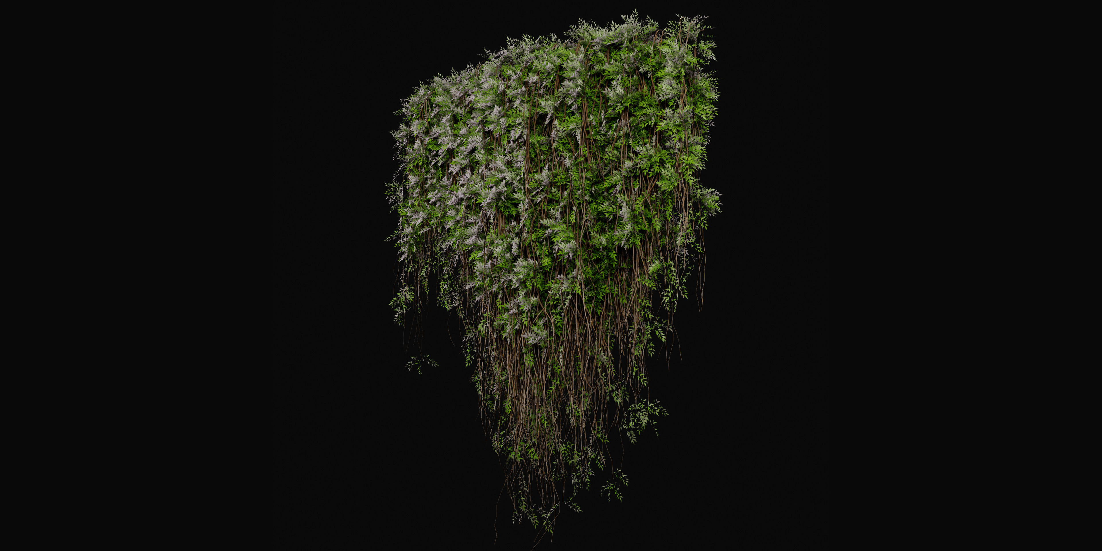 Collection plant vol 415 - blender model  3D model_4