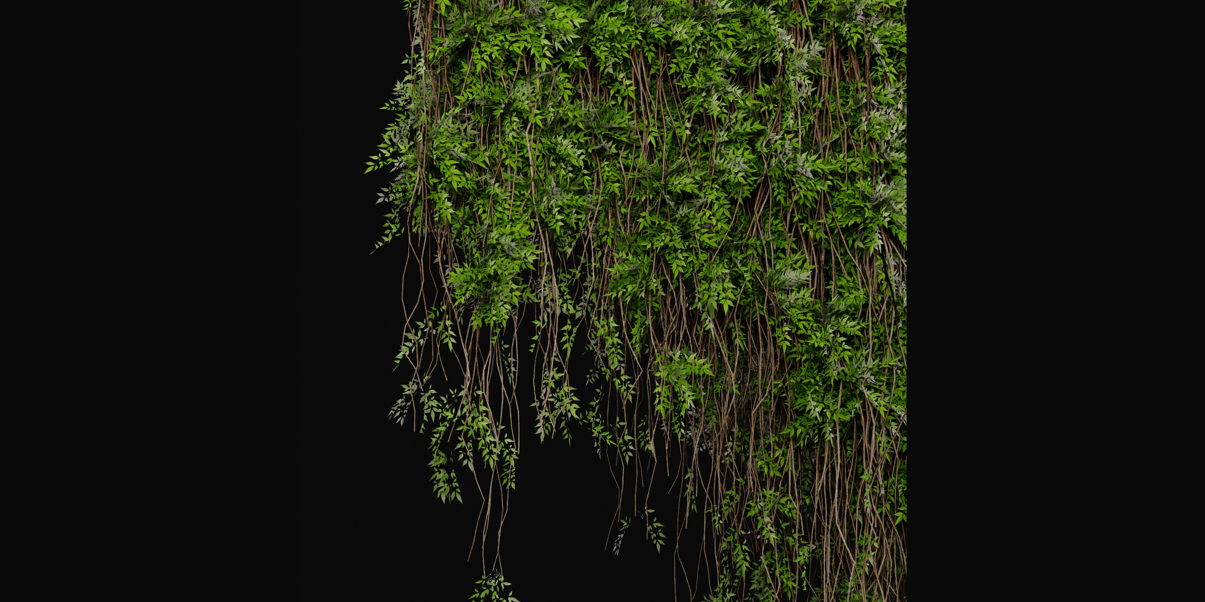 Collection plant vol 415 - blender model  3D model_5