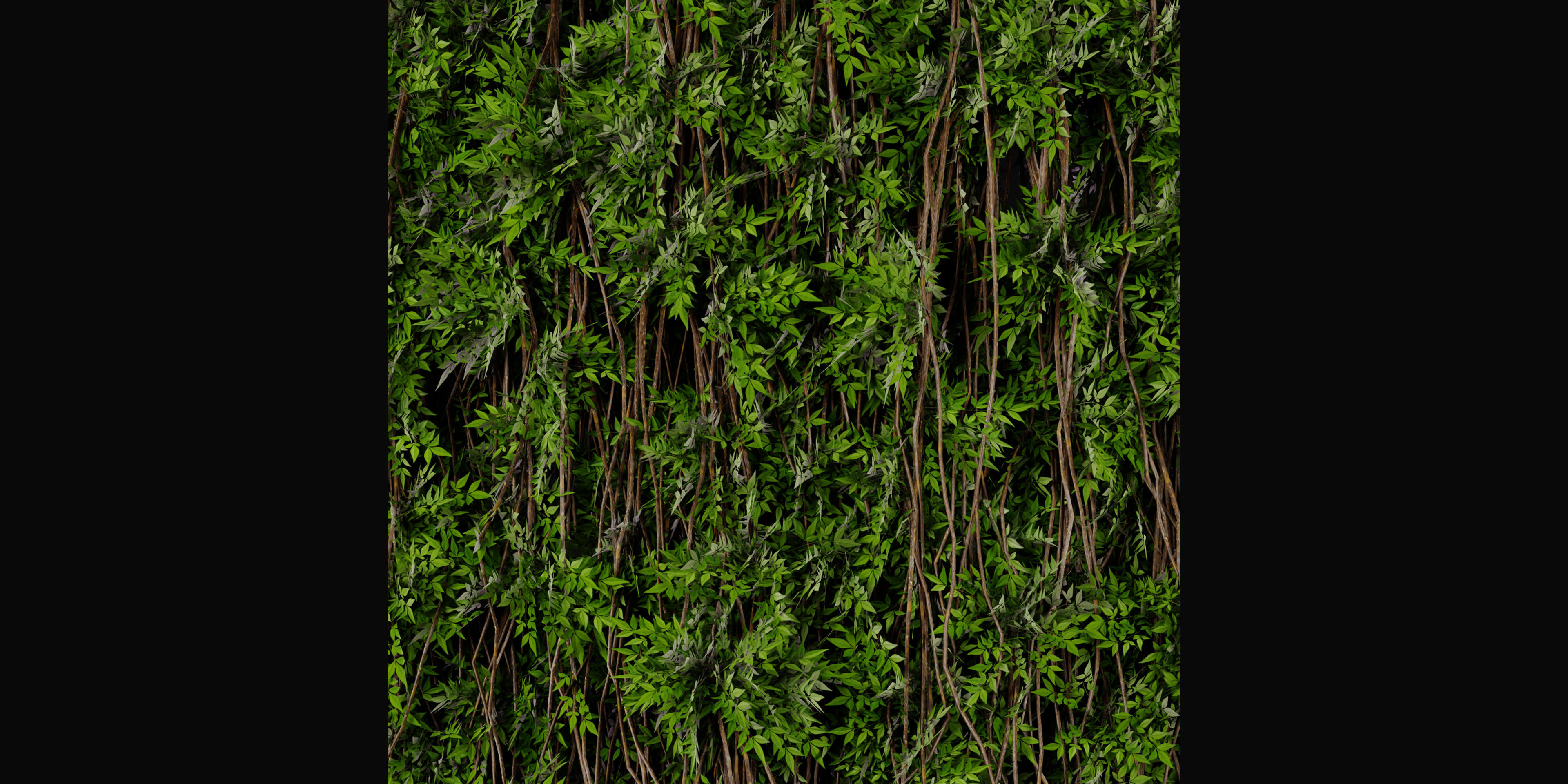 Collection plant vol 415 - blender model  3D model_3