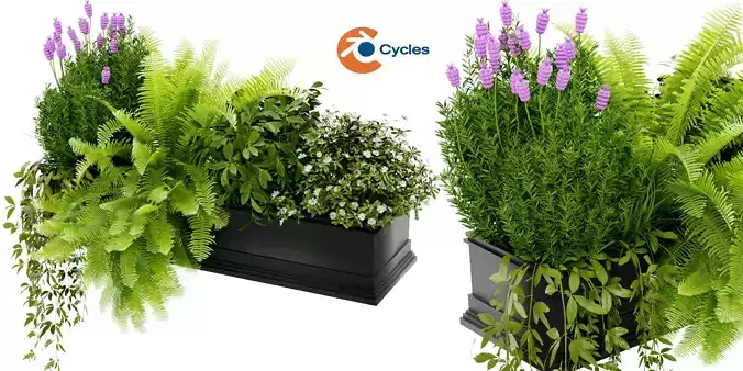 Collection plant vol 416 - blender model 