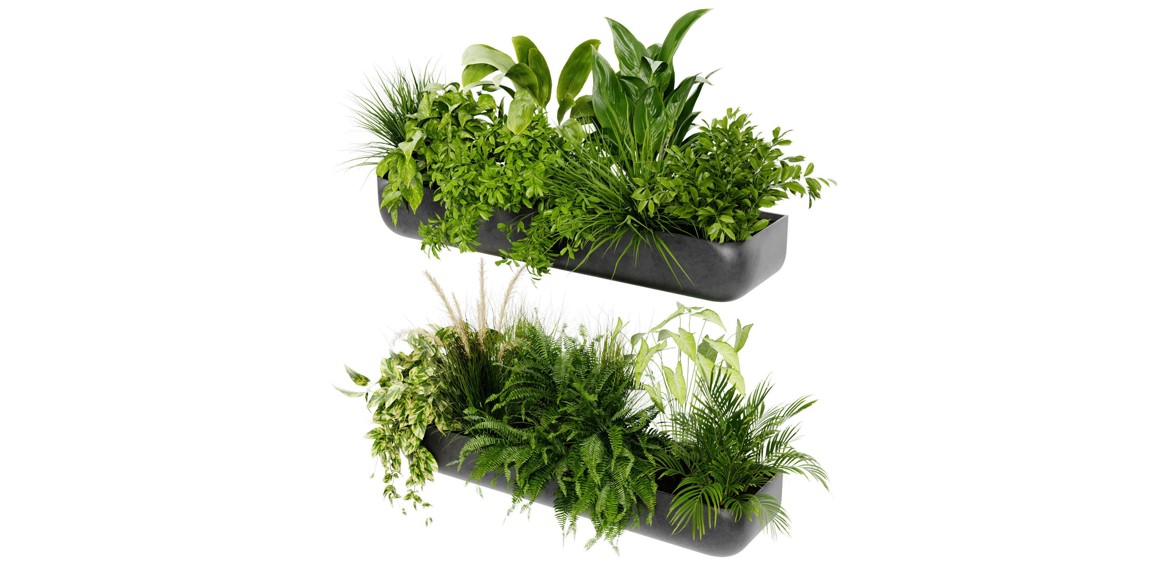 Collection plant vol 417 - blender model  3D model_4