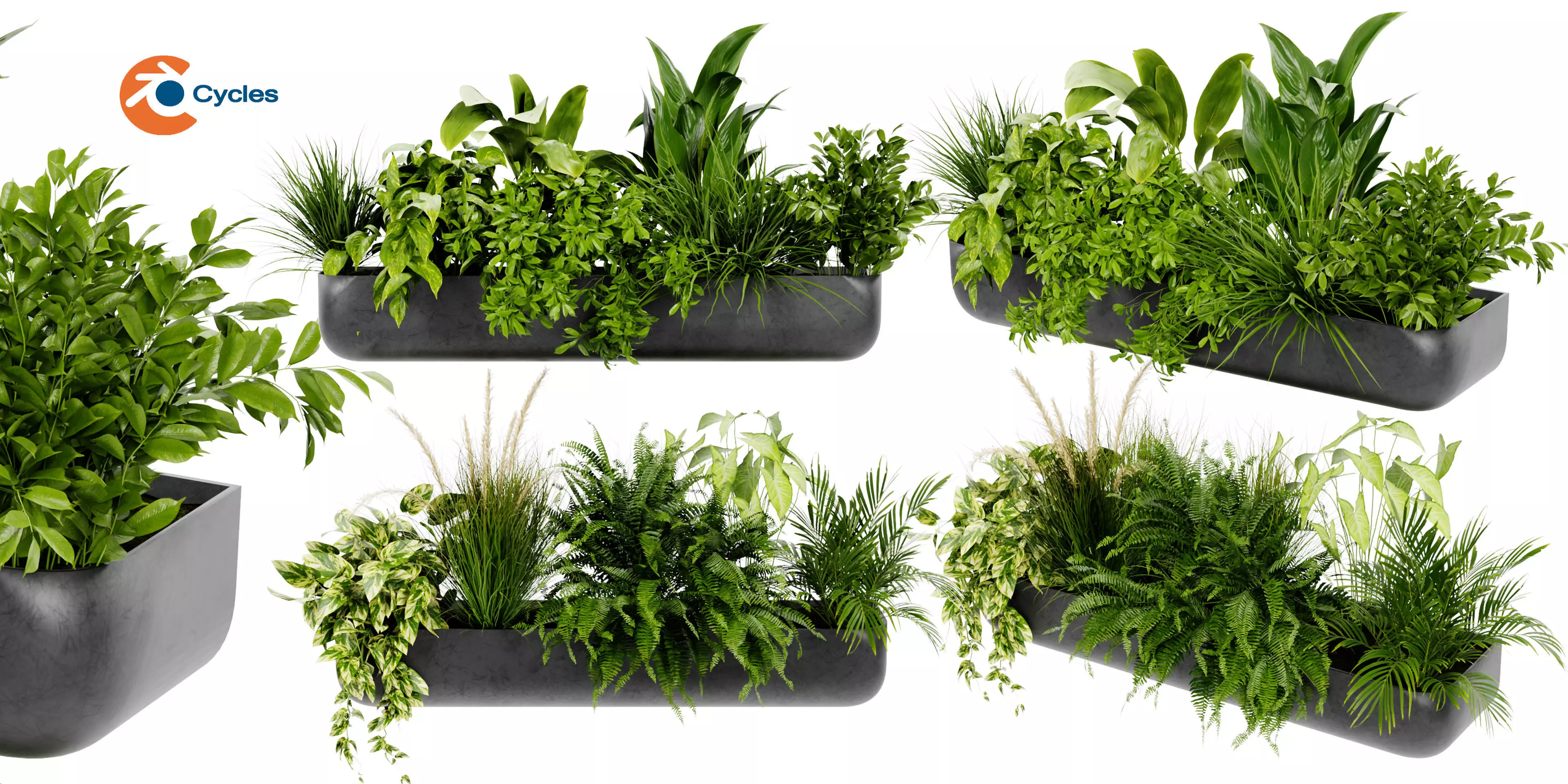 Collection plant vol 417 - blender model  3D model_0