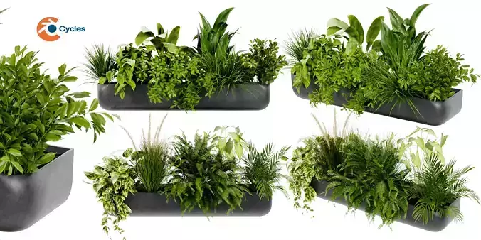 Collection plant vol 417 - blender model  3D model