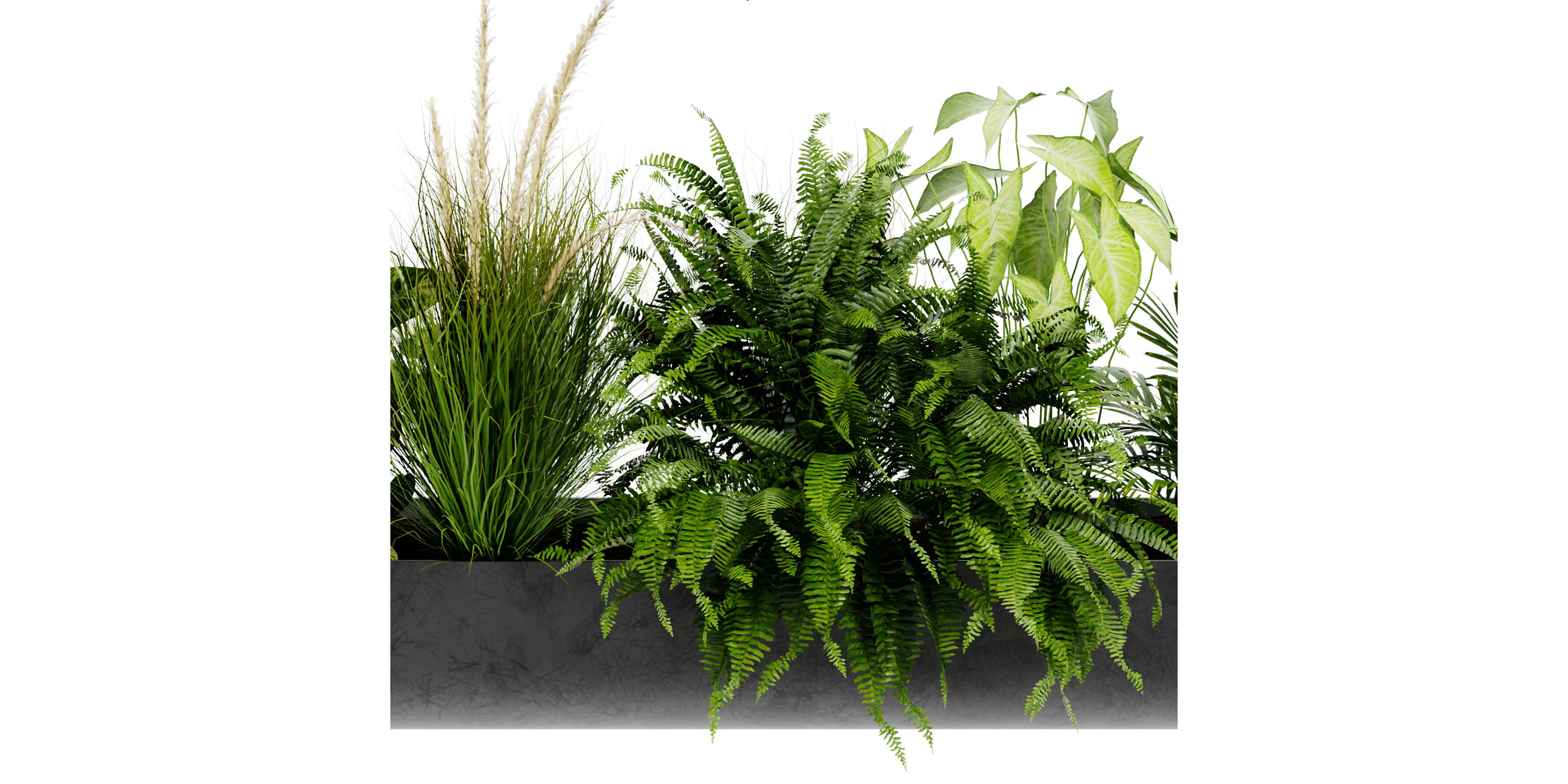 Collection plant vol 417 - blender model  3D model_3