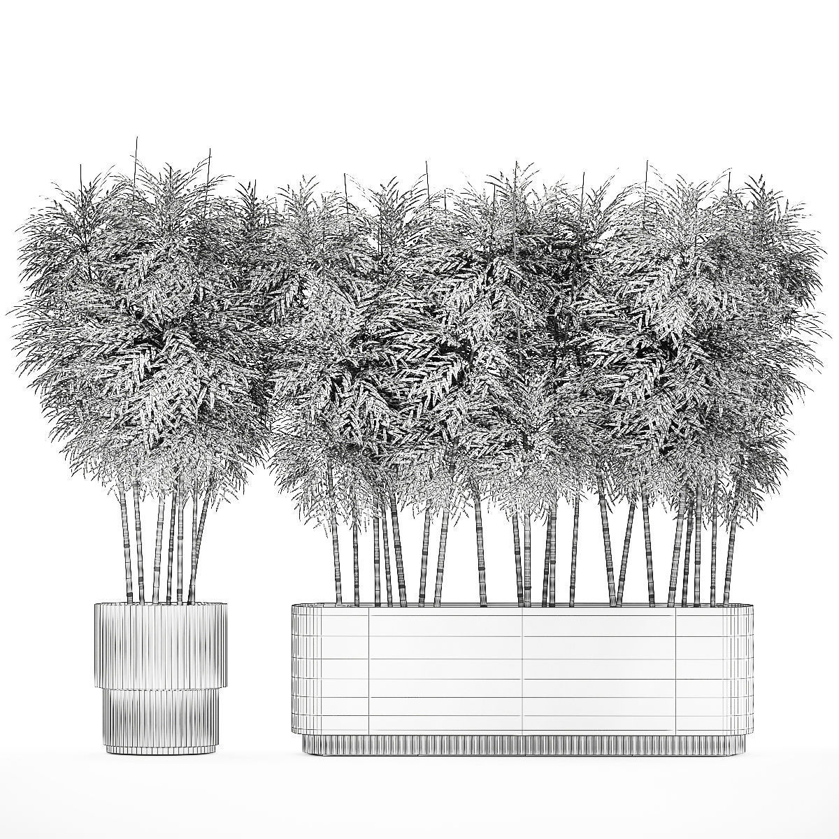 Beautiful plant bush Bamboo in pots 1354 3D model_15